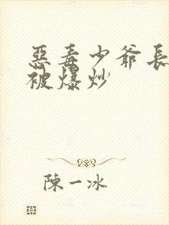 恶毒少爷长大后被爆炒