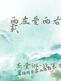 向左爱向右爱下载