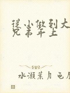 从小做到大骨科兄弟年上