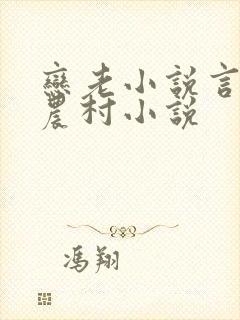 恋老小说言情网农村小说