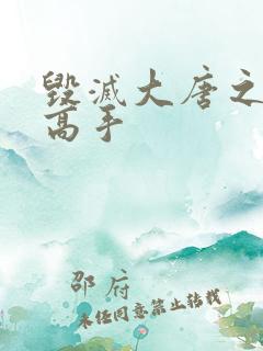 毁灭大唐之异能高手