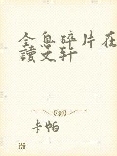 全息碎片在线阅读文轩