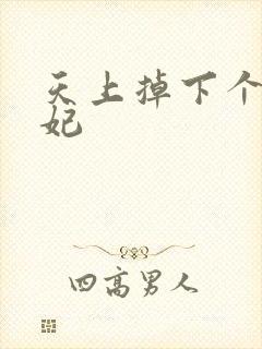 天上掉下个奇王妃