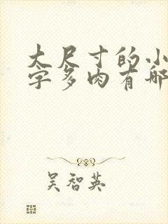 大尺寸的小黄说字多肉有哪些