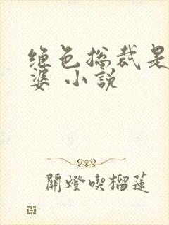 绝色总裁是我老婆 小说