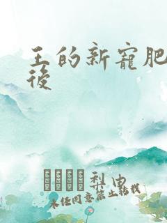 王的新宠肥婆皇后