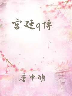 宫廷q传