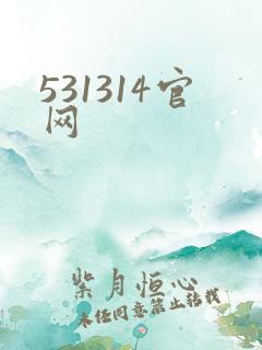 531314官网