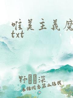 唯美主义魔法师txt