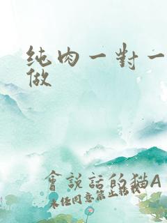 纯肉一对一到处做