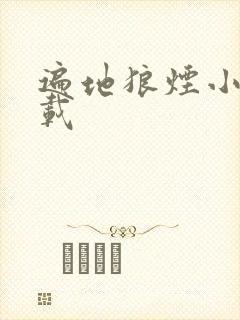 遍地狼烟小说下载