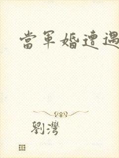 当军婚遭遇爱情