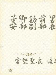 董卿的前男友公安部副部长