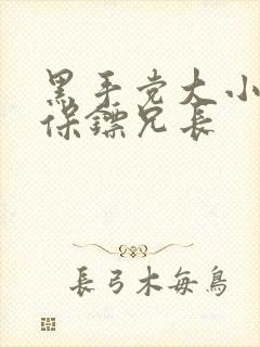 黑手党大小姐和保镖兄长