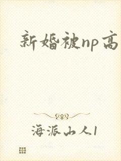 新婚被np高h