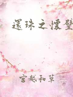 还珠之怀璧其罪