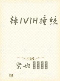 辣1V1H撞绞