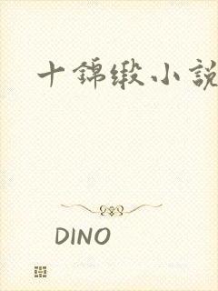 十锦缎小说
