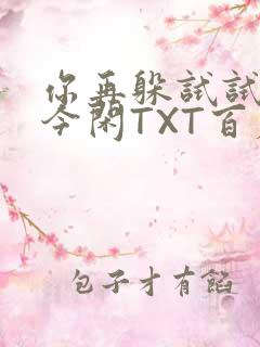 你再躲试试BY今闲TXT百度网盘