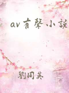 av有声小说