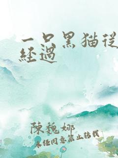 一只黑猫从眼前经过