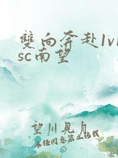 双向奔赴1v1sc南望