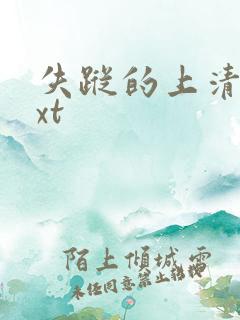 失踪的上清寺txt