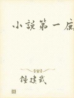 小说第一庶女