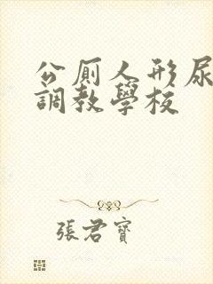 公厕人形尿便器调教学校