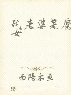 我老婆是魔法少女