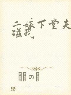 二嫁下堂夫君别碰我