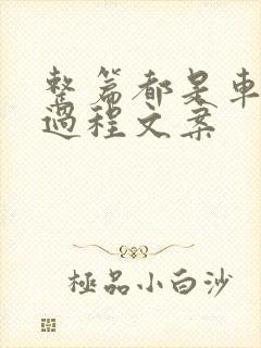 整篇都是车的肉过程文案