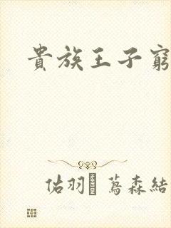 贵族王子穷公主