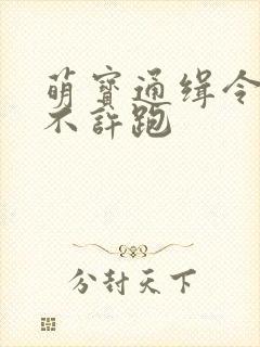 萌宝通缉令妈味不许跑