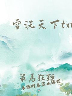 雪洗天下txt
