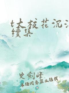 t大校花沉浮录续集