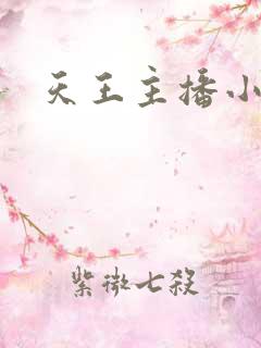 天王主播小说