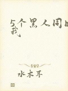 5个黑人同时玩我