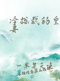 冷总裁的皇后暖妻