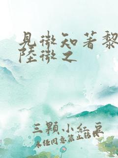 见微知著黎见卿陆微之