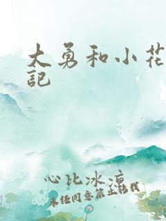 大勇和小花的日记