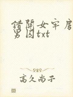 错关女牢房里的男囚txt