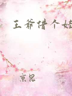 王爷借个娃