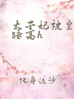 太子妃被皇上强睡高h