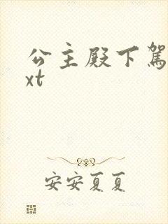 公主殿下驾到txt