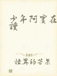 少年阿宾在线阅读