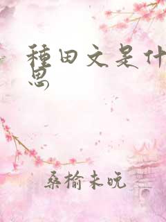 种田文是什么意思