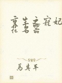 重生之宠妃白莲花名器