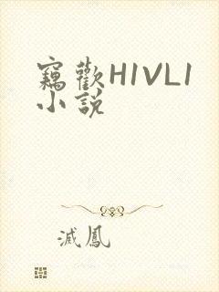 窃欢H1VL1小说
