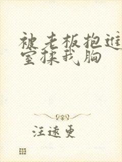 被老板抱进办公室揉我胸